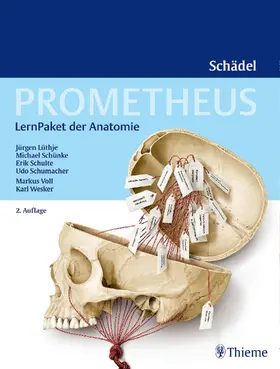 Lüthje / Schulte / Schünke |  Prometheus Schädel, LernPaket der Anatomie - Mängelexemplar, kann leichte Gebrauchsspuren aufweisen. Sonderangebot ohne Rückgaberecht. Nur so lange der Vorrat reicht. | Buch |  Sack Fachmedien