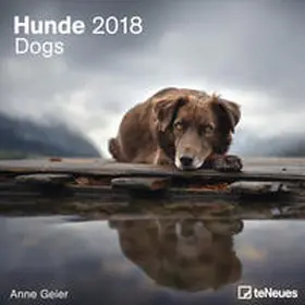 Geier |  Anne Geier Hundekalender 2018 | Sonstiges |  Sack Fachmedien