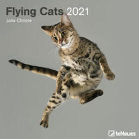  Flying Cats 2021 - Broschürenkalender | Sonstiges |  Sack Fachmedien