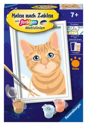  CreArt, Malen nach Zahlen Kinder - Niedliche Katze | Sonstiges |  Sack Fachmedien