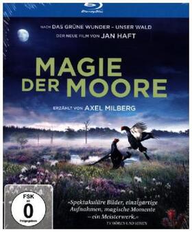 Haft |  Magie der Moore | Sonstiges |  Sack Fachmedien