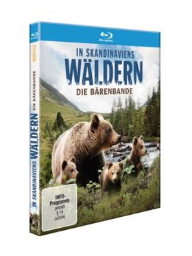 Goetzl |  In Skandinaviens Wäldern - Die Bärenbande | Sonstiges |  Sack Fachmedien