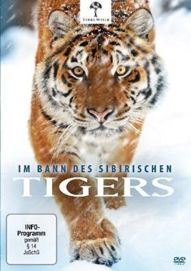Birkhead / Loncraine |  Im Bann des Sibirischen Tigers | Sonstiges |  Sack Fachmedien
