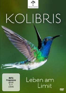 Reddish |  Kolibris - Leben am Limit | Sonstiges |  Sack Fachmedien