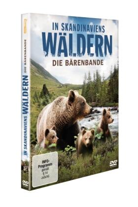 Goetzl |  In Skandinaviens Wäldern - Die Bärenbande | Sonstiges |  Sack Fachmedien
