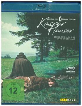 Herzog / Wassermann |  Kaspar Hauser - Jeder für sich und Gott gegen alle | Sonstiges |  Sack Fachmedien