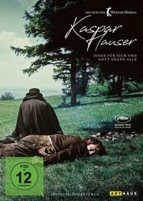 Herzog / Wassermann |  Kaspar Hauser - Jeder für sich und Gott gegen alle | Sonstiges |  Sack Fachmedien