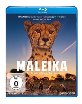  Maleika | Sonstiges |  Sack Fachmedien