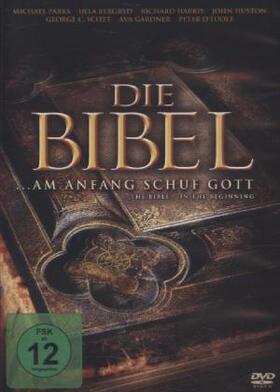 Bonicelli / Fry / Griffin |  Die Bibel - ... Am Anfang schuf Gott | Sonstiges |  Sack Fachmedien