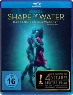 Toro / Taylor |  Shape of Water - Das Flüstern des Wassers | Sonstiges |  Sack Fachmedien