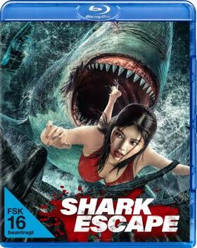 Zhu |  Shark Escape | Sonstiges |  Sack Fachmedien