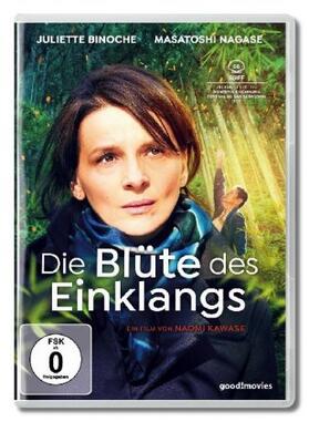 Kawase |  Die Blüte des Einklangs | Sonstiges |  Sack Fachmedien