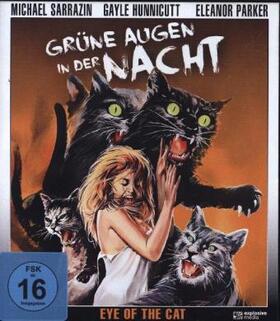 Stefano |  Grüne Augen in der Nacht | Sonstiges |  Sack Fachmedien