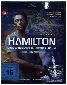 Bengtsson / Gradvall / Guillou |  Hamilton - Undercover in Stockholm | Sonstiges |  Sack Fachmedien