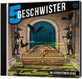 Schuffenhauer / Schier |  Im verbotenen Grab | Sonstiges |  Sack Fachmedien