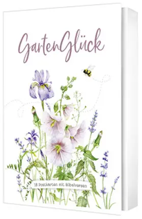 Plato | GartenGlück - Postkartenset | Sonstiges | 402-985684085-7 | sack.de