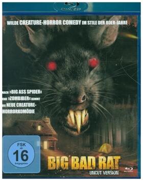Churchill |  Big Bad Rat | Sonstiges |  Sack Fachmedien