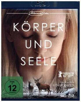 Enyedi |  Körper und Seele | Sonstiges |  Sack Fachmedien