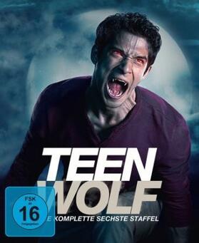 Davis / Harvey / Cochran |  Teen Wolf | Sonstiges |  Sack Fachmedien