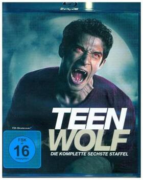 Davis / Harvey / Cochran |  Teen Wolf | Sonstiges |  Sack Fachmedien
