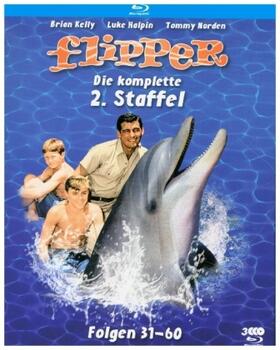 Little / Cowden / Browning |  Flipper | Sonstiges |  Sack Fachmedien
