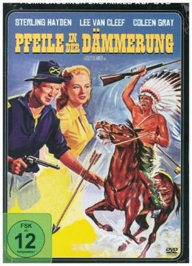 Martin |  Pfeile in der Dämmerung | Sonstiges |  Sack Fachmedien