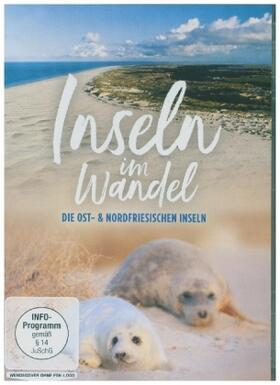 Grebe |  Inseln im Wandel - Ostfriesische Inseln und Nordfriesische Inseln | Sonstiges |  Sack Fachmedien