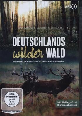  Deutschlands wilder Wald: Das geheime Leben der Rothirsche & Naturwunder Schorfheide | Sonstiges |  Sack Fachmedien