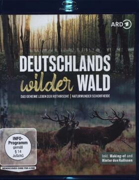  Deutschlands wilder Wald: Das geheime Leben der Rothirsche & Naturwunder Schorfheide | Sonstiges |  Sack Fachmedien