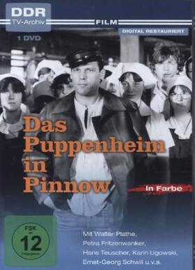 Ebert / Steinke |  Das Puppenheim in Pinnow | Sonstiges |  Sack Fachmedien