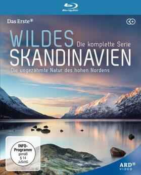  Wildes Skandinavien | Sonstiges |  Sack Fachmedien