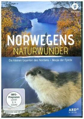  Norwegens Naturwunder: Die kleinen Giganten des Nordens & Magie der Fjorde | Sonstiges |  Sack Fachmedien