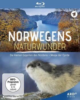  Norwegens Naturwunder: Die kleinen Giganten des Nordens & Magie der Fjorde | Sonstiges |  Sack Fachmedien