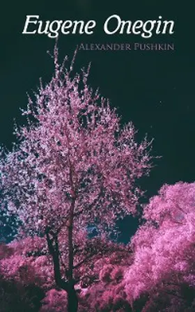 Pushkin |  Eugene Onegin | eBook | Sack Fachmedien