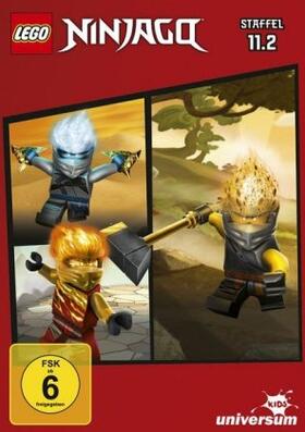 Hageman / Thomas |  LEGO Ninjago: Masters of Spinjitzu | Sonstiges |  Sack Fachmedien