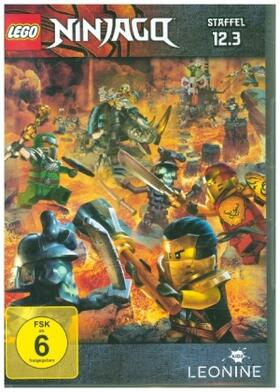 Hageman / Thomas |  LEGO Ninjago: Masters of Spinjitzu | Sonstiges |  Sack Fachmedien