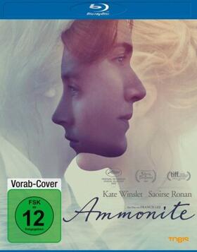 Lee |  Ammonite | Sonstiges |  Sack Fachmedien