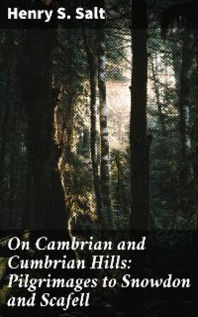 Salt |  On Cambrian and Cumbrian Hills: Pilgrimages to Snowdon and Scafell | eBook | Sack Fachmedien