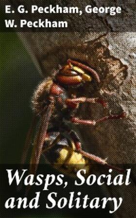 Peckham |  Wasps, Social and Solitary | eBook | Sack Fachmedien