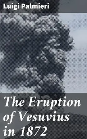 Palmieri |  The Eruption of Vesuvius in 1872 | eBook | Sack Fachmedien