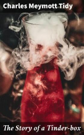 Tidy |  The Story of a Tinder-box | eBook | Sack Fachmedien