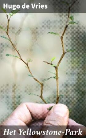 Vries |  Het Yellowstone-Park | eBook | Sack Fachmedien