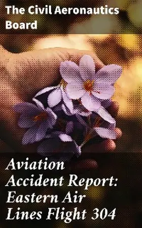  Aviation Accident Report: Eastern Air Lines Flight 304 | eBook | Sack Fachmedien