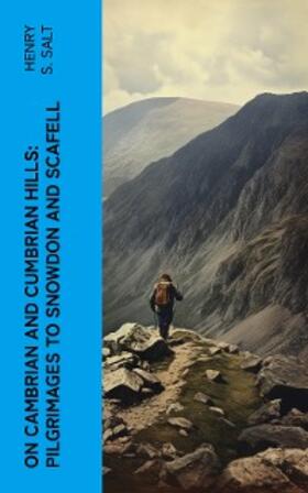 Salt |  On Cambrian and Cumbrian Hills: Pilgrimages to Snowdon and Scafell | eBook | Sack Fachmedien