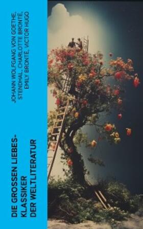 Goethe / Hawthorne / D'Annunzio |  Die großen Liebes-Klassiker der Weltliteratur | eBook | Sack Fachmedien