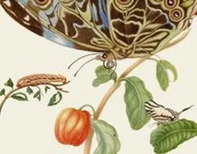 Merian |  Maria Sibylla Merians Schmetterlinge - Gästebuch | Buch |  Sack Fachmedien