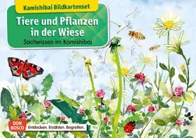 Stöckl-Bauer / Stöckl |  Tiere und Pflanzen in der Wiese. Kamishibai Bildkartenset. | Sonstiges |  Sack Fachmedien