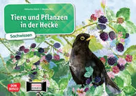 Stöckl-Bauer / Stöckl |  Tiere und Pflanzen in der Hecke. Kamishibai Bildkartenset | Sonstiges |  Sack Fachmedien