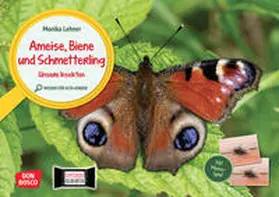 Lehner |  Ameise, Biene und Schmetterling. Unsere Insekten. Kamishibai Bildkarten und Memo-Spiel. | Sonstiges |  Sack Fachmedien