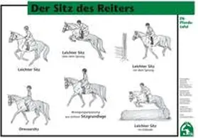  Der Sitz des Reiters | Sonstiges |  Sack Fachmedien